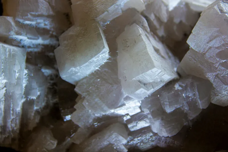 Fresh fruits and vegetables representing natural boron sources for vegans