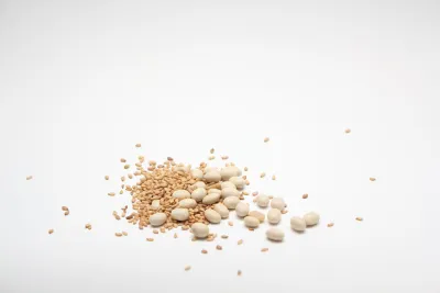 Phosphatidylserine: The Nutrient That Feeds Your Brain Cell Membranes