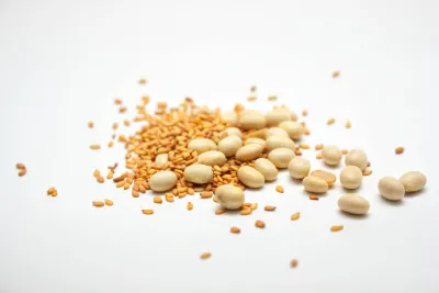 Lecithin capsules alongside soybeans and sunflower seeds on a table