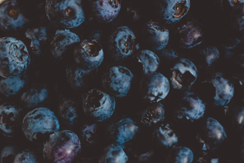 Fresh bilberries in a bowl, bilberry extract