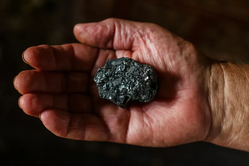Boron-rich foods including prunes, almonds and grapes