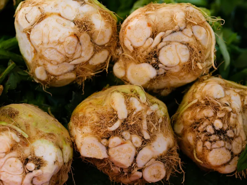 Fiber-rich foods and inulin for gut health