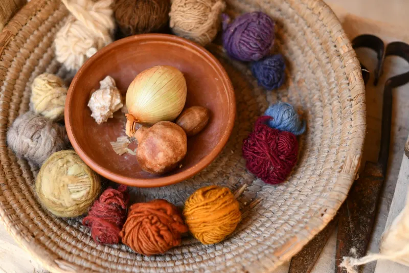 Fibre-rich foods: oats, legumes, nuts and vegetables