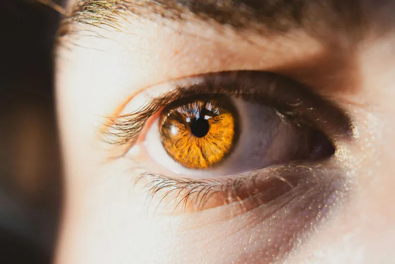 Lutein capsules and eye health supplement