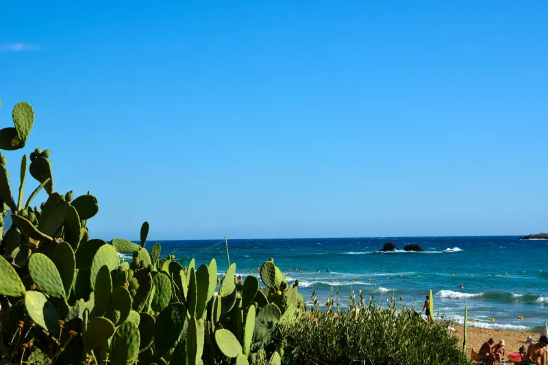 Summer Cut Plan for Estonia — Get Lean for Beach Season