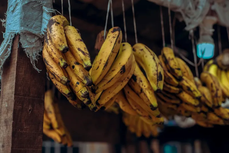 Bananas and potassium-rich foods representing optimal potassium timing