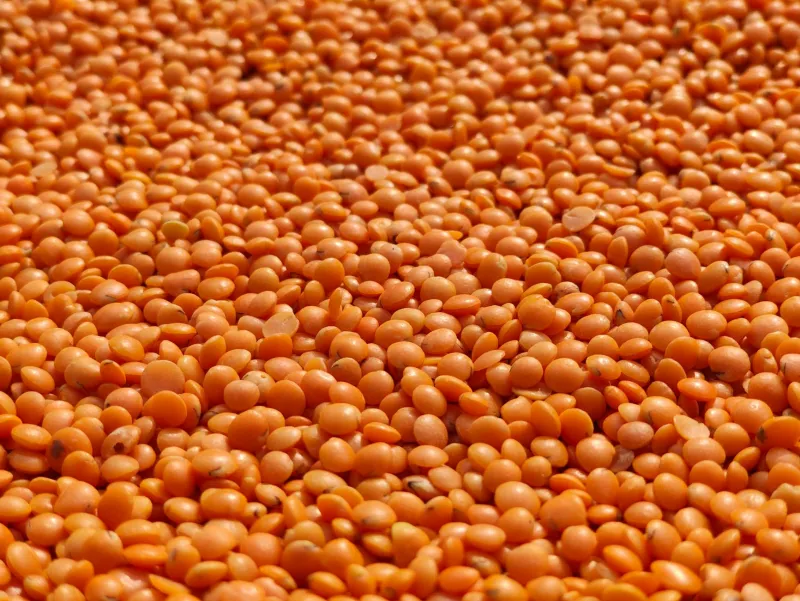 Proteiinipulbri segamine sheikeris pärast treeningut