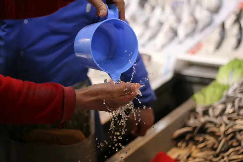 EPA and the Omega-3/Omega-6 Balance: What Science Actually Says