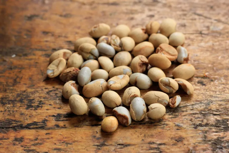 Guarana seeds and capsules as an energy supplement