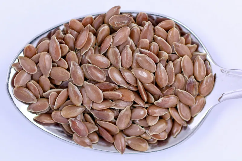 Psüllium koorekest kiudaine soolestiku tervis toidulisand