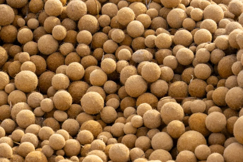 Sojaoad ja letsitiini sisaldavad toidud tervise toetamiseks