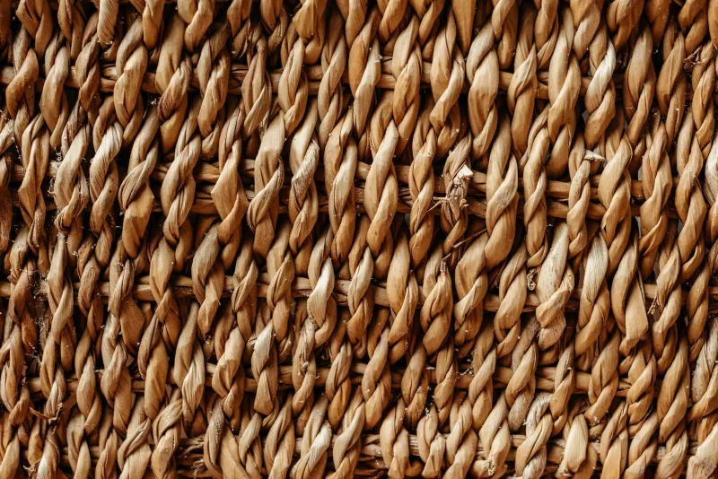 Various high-fiber foods including fruits, vegetables, and whole grains