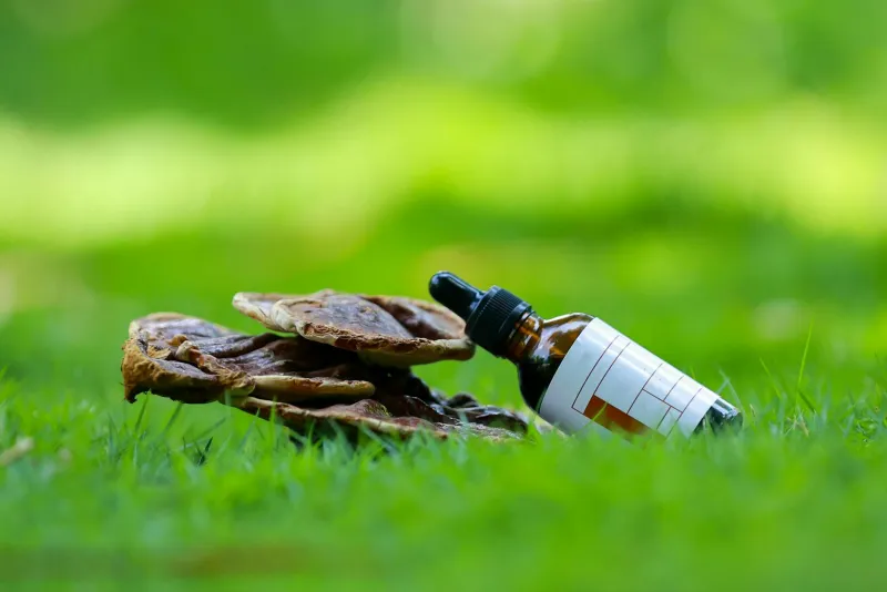 Reishi seen immuunsuse jaoks: Kliiniliste uuringute tulemused