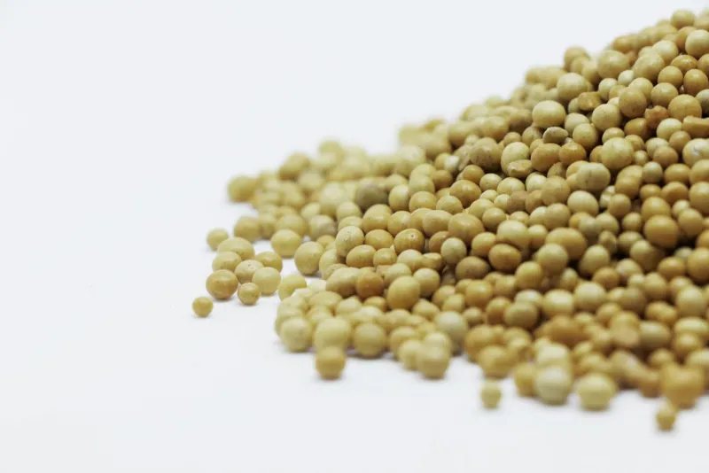 L-lysine amino acid capsules against a healthy nutrition background