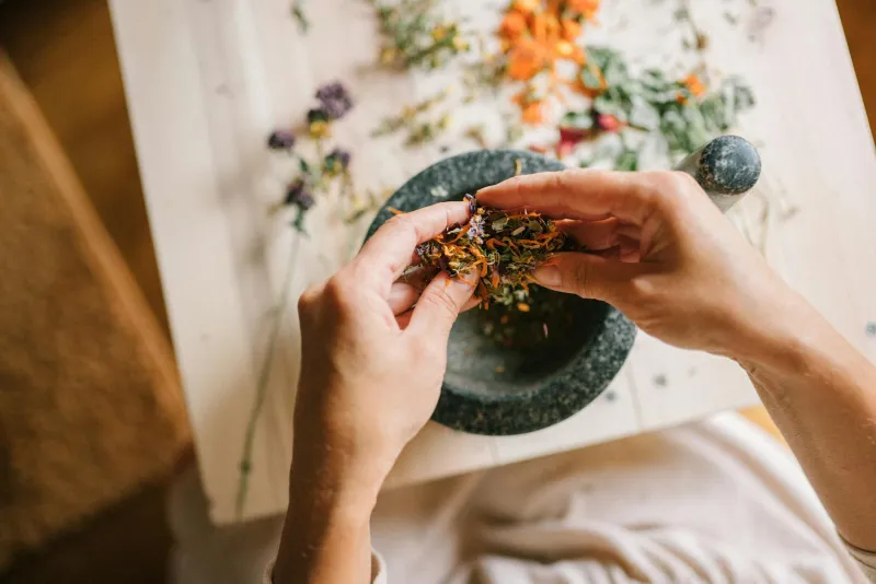 Various herbal supplement capsules and dried herbs arranged on a wooden surface for seniors