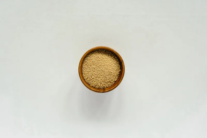 Lecithin supplement — phospholipids and brain health in capsule form