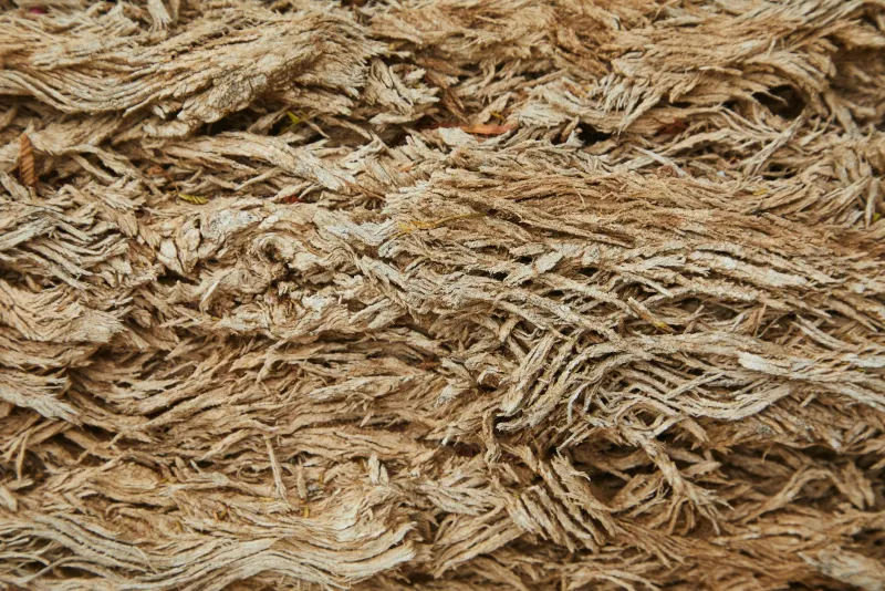 Fiber-rich foods and psyllium husk powder on a healthy food table