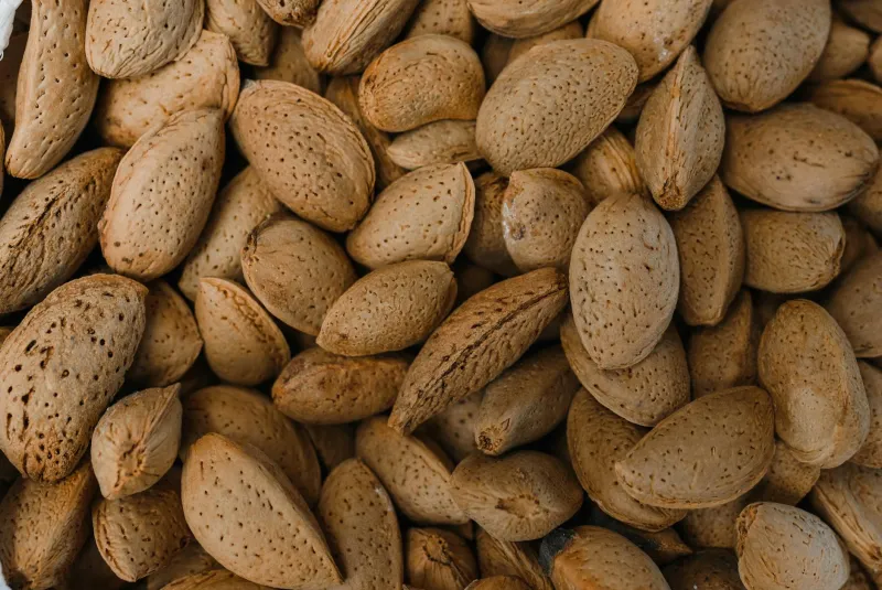 Magnesium and vitamin B6 dietary supplements