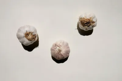 Garlic oil softgel capsules next to fresh garlic cloves on a wooden surface