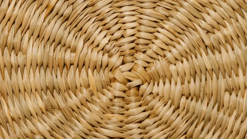 High-fiber foods and supplements on a table