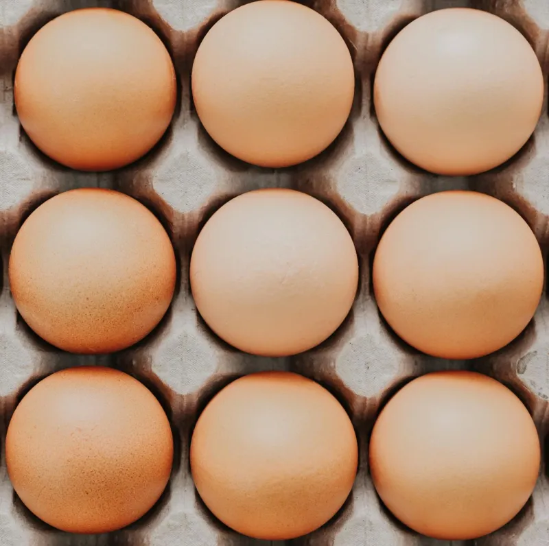 Choline supplement capsules and nutrition