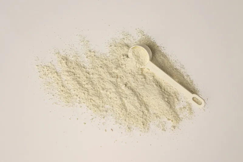 Protein Powder for Beginners: Which One to Choose?