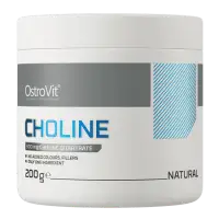 OstroVit Choline - Unflavored — Unflavored — Powder view 1