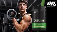 Optimum Nutrition Micronized Creatine - Unflavored — Unflavored — Powder view 2
