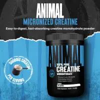 Universal Animal Creatine - Безвкусный — Unflavored — Powder view 2