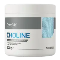 OstroVit Choline 200g Natural