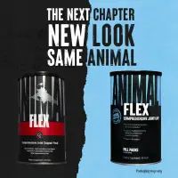 Universal Animal Flex - Apelsin — Orange — Powder view 2
