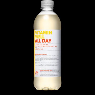 Vitamin Well All Day vitamiinijook 500ml + pant A