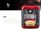 BSN Syntha Original 6 - Vanilla — Vanilla — Powder view 2