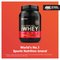 Optimum Nutrition Gold Standard 100% Whey - Šokolaadiapelsin — Chocolate Orange — Powder view 2