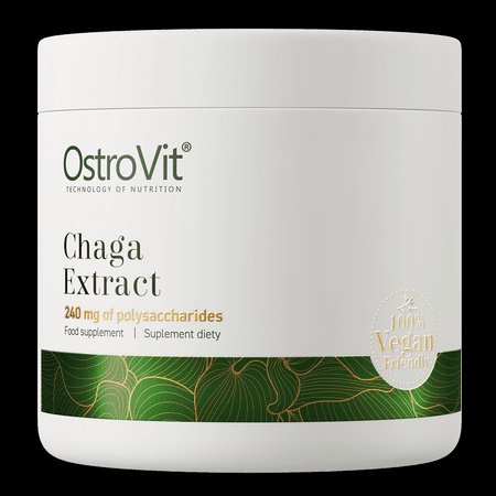 OstroVit Chaga Extract 240mg 50g