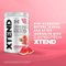 XTEND Original Amino Acids - Арбуз — Watermelon — Powder view 2