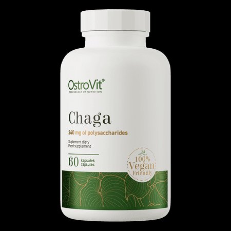 OstroVit Chaga 240mg 60caps